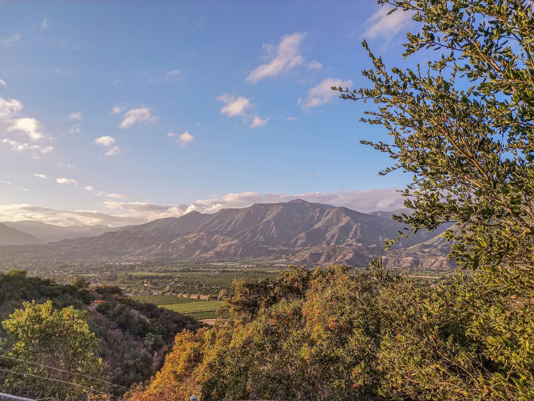 The green Ojai Valley and Topatopa Mountains in warm afternoon light